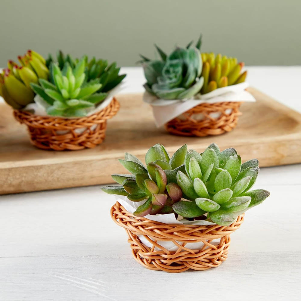 Set di mini cestini intrecciat - Woven Basket Set recensione e prezzo